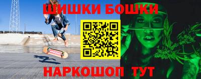 мдпв Бийск