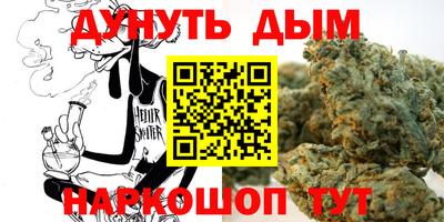 мдпв Бийск