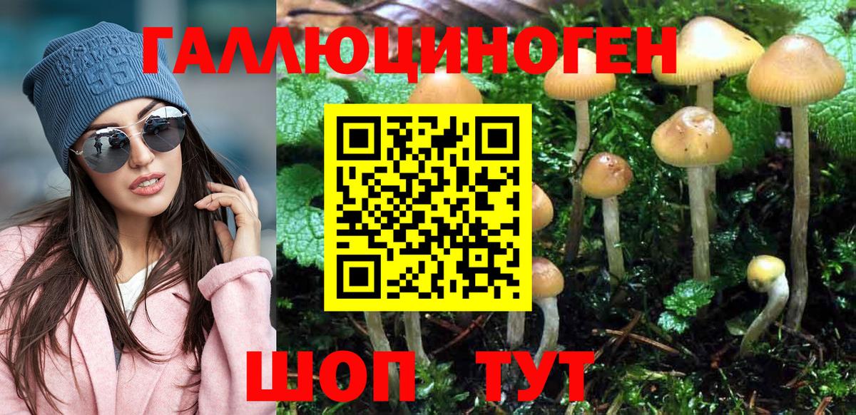 Галлюциногенные грибы прущие грибы  Вход с VPN  Киселёвск  Галлюциногенные грибы Cubensis 